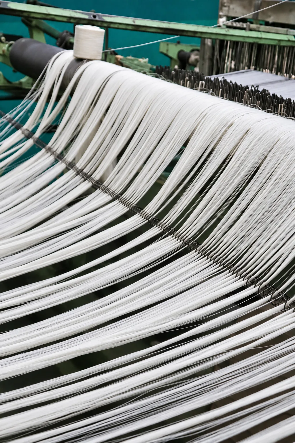 Sizing & Warping